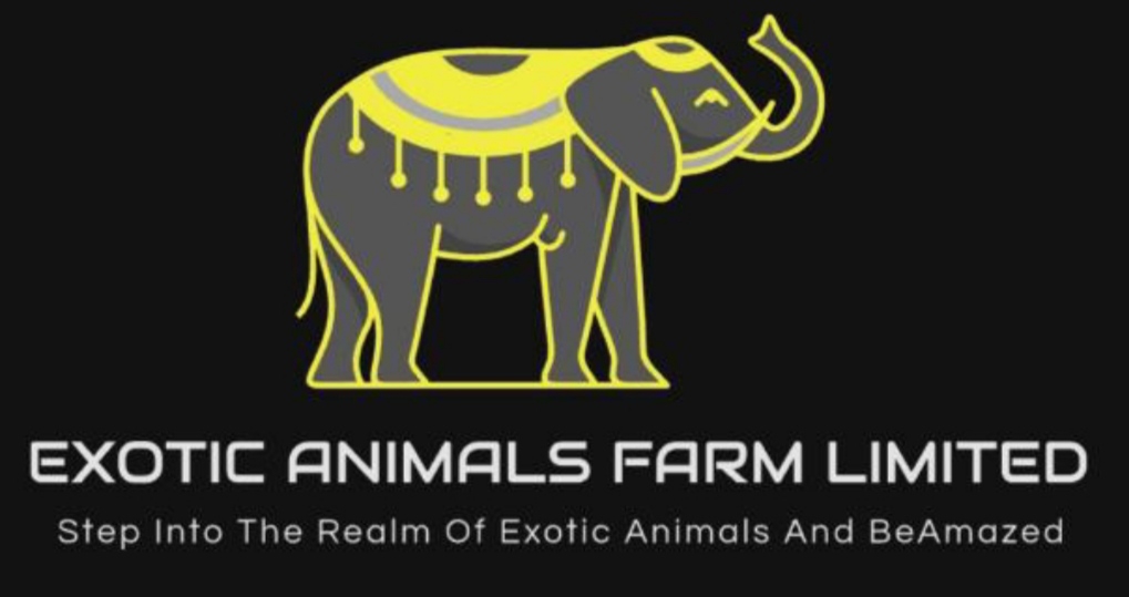 Exotic Animals Farm Limited